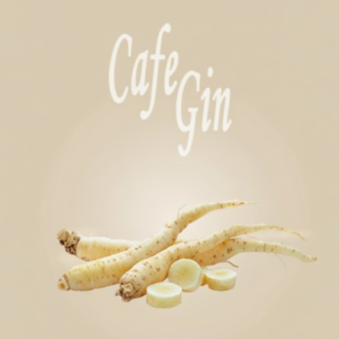 Square Capsule CoffeeGin | 50 Pack | Caffè D'Italia