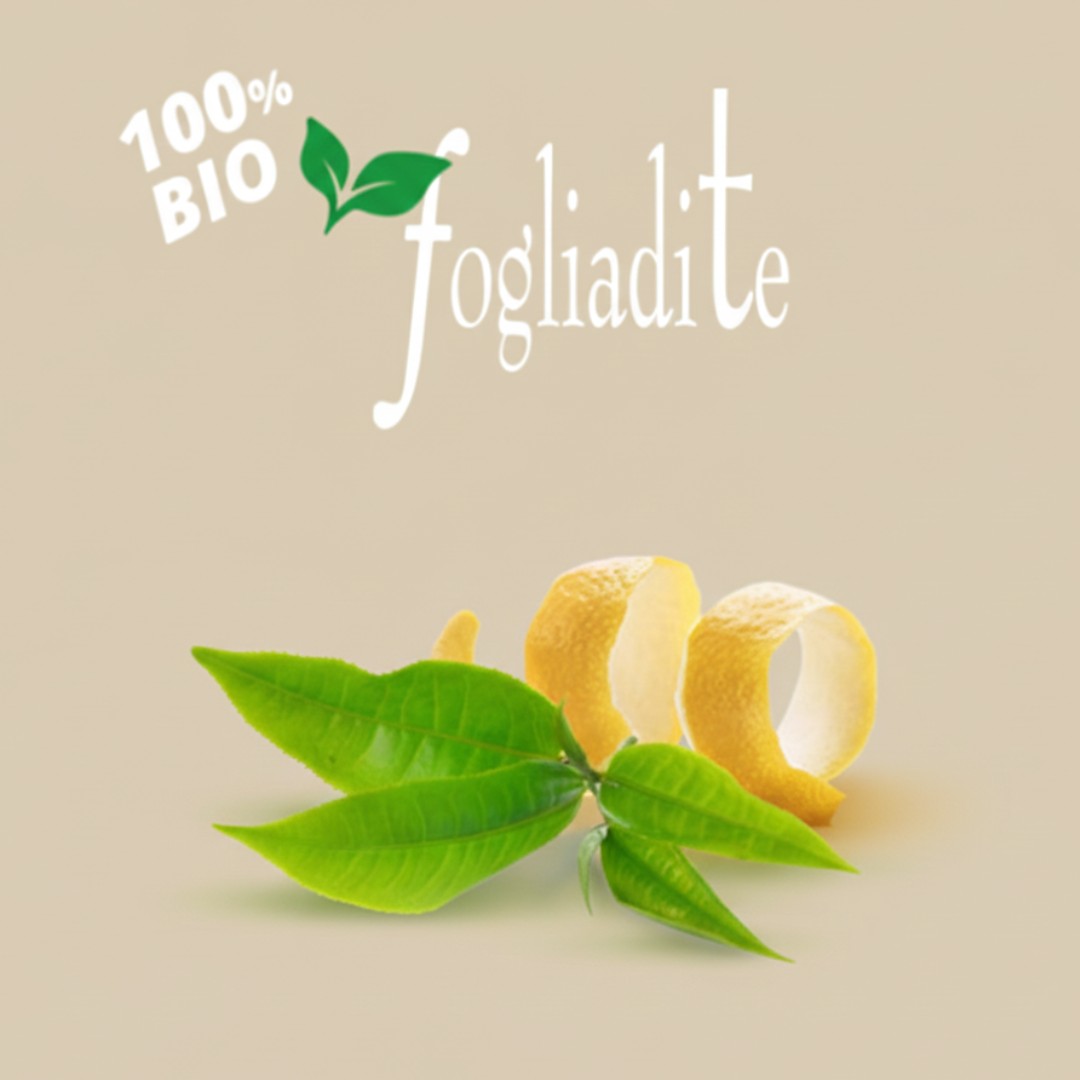 Square Capsule Fogliadite Green Tea | 10 Pack | Caffè D'Italia