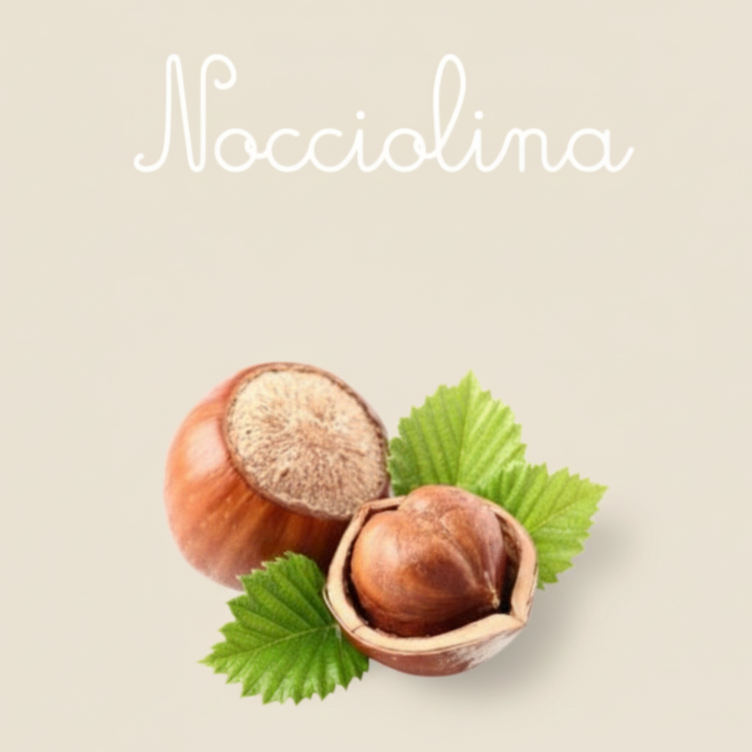 Square Capsule Nocciolina | 50 Pack | Caffè D'Italia