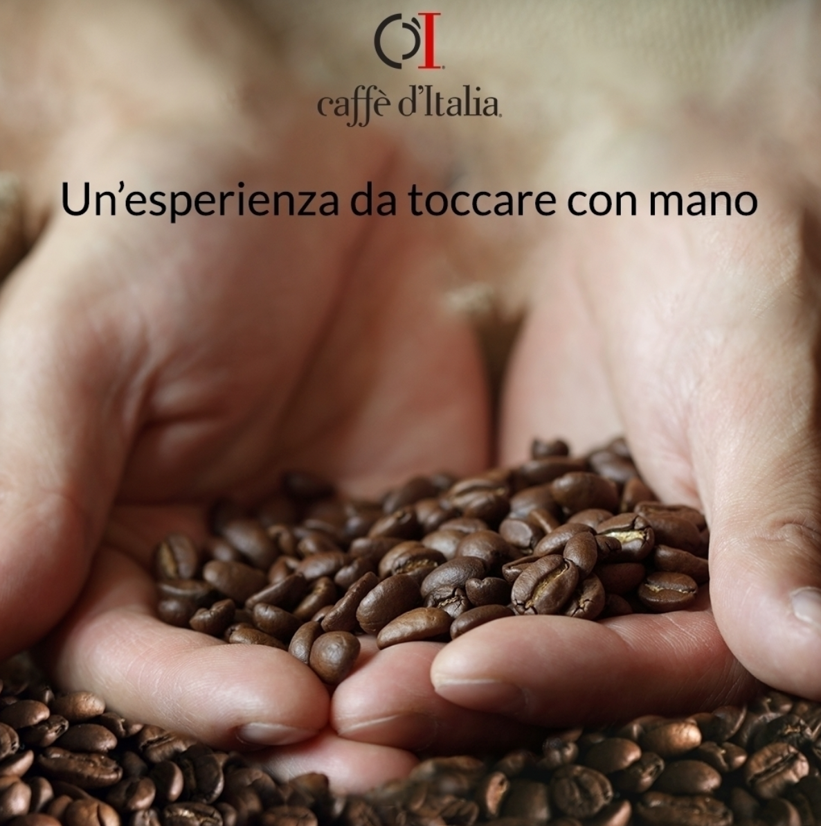 Caffè D'Italia | 777 Mila Baci Espresso Beans | Bold Neapolitan Blend | 6kg Catering Box